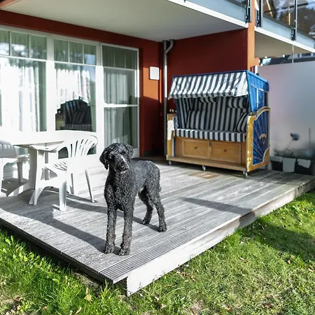 Muehlenstr 19 Wg 2 Zingst